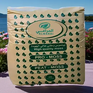 Category banner image