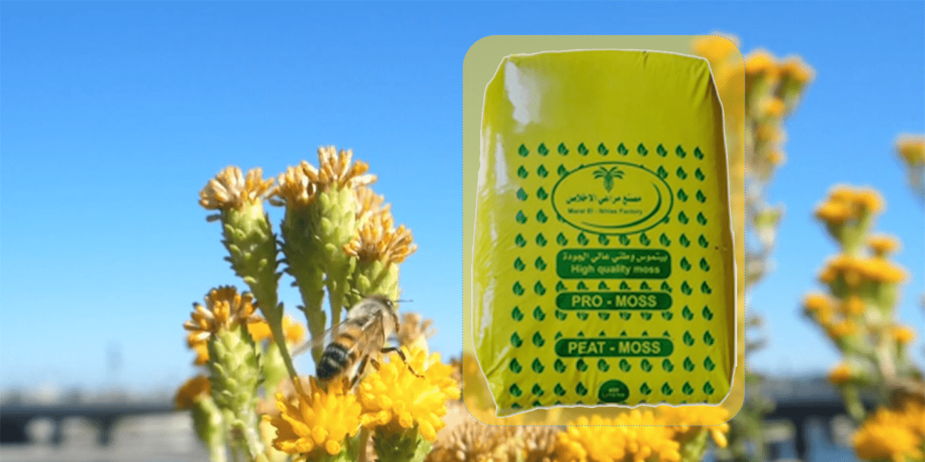 بيتموس وطني 400 لتر