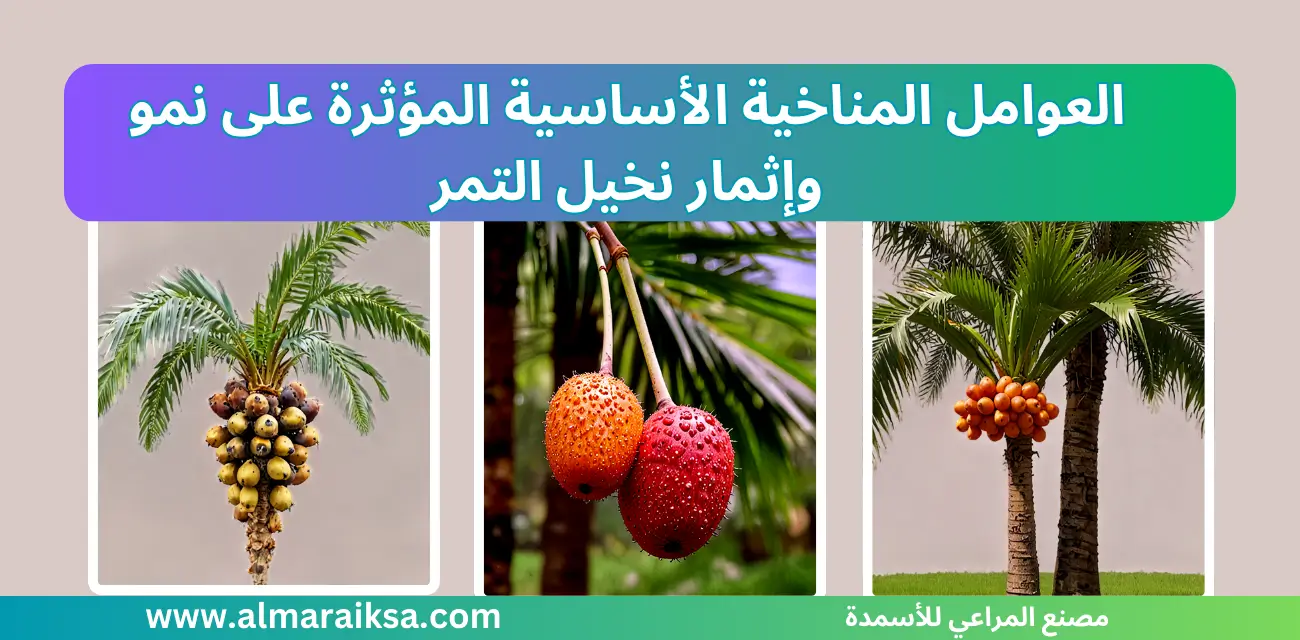 العوامل المناخية المؤثرة على نمو وإثمار نخيل التمر: دراسة متقدمة