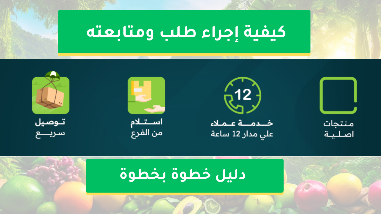 كيفية إجراء طلب ومتابعته عبر الإنترنت: دليل خطوة بخطوة